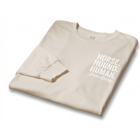 Silver Lining Long Sleeve